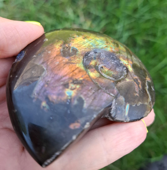 Labradorite Ammonite Carving, 160.21g, Crystal (Ref: laba4)