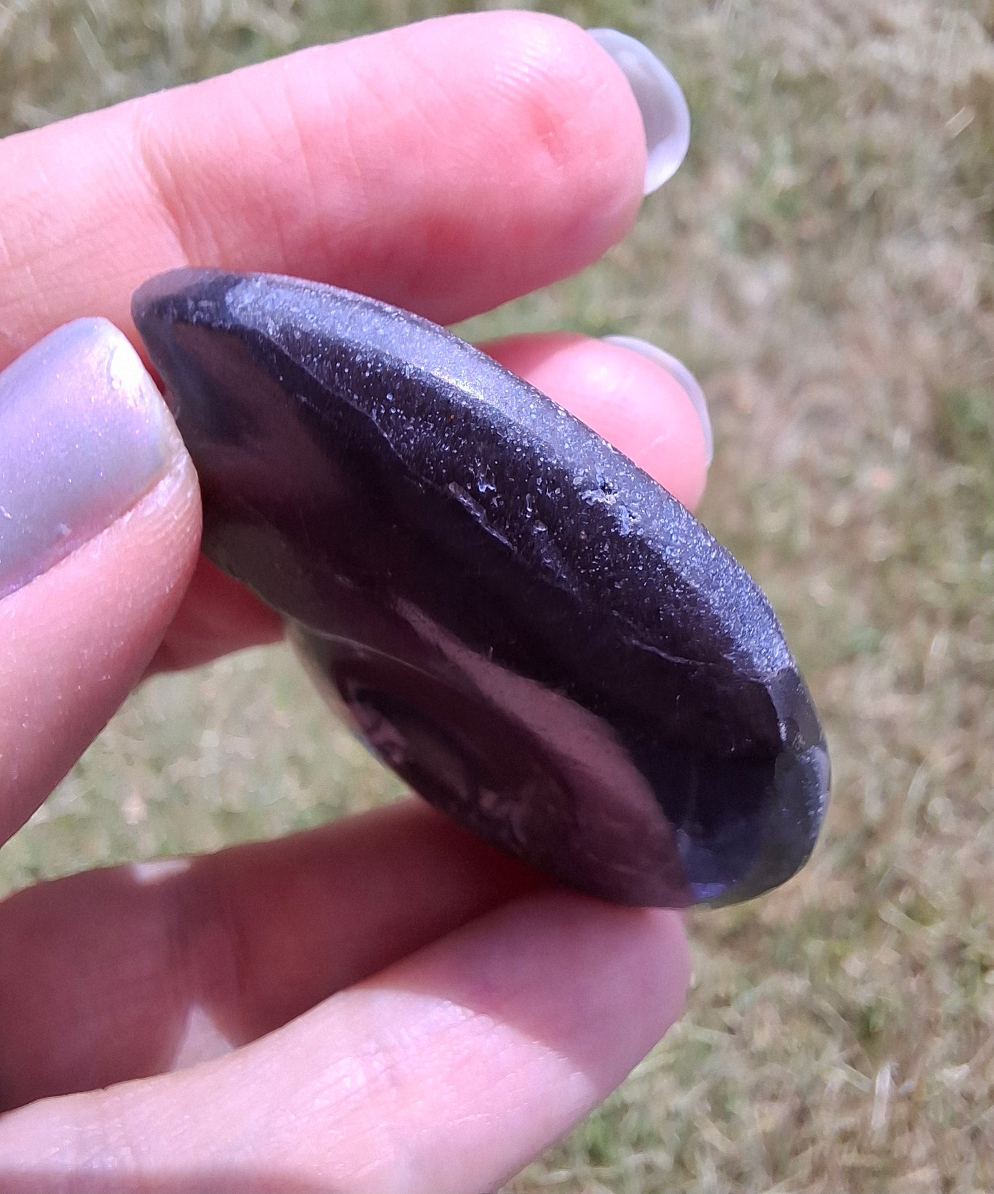Goniatite, Fossil (Ref: GA5)