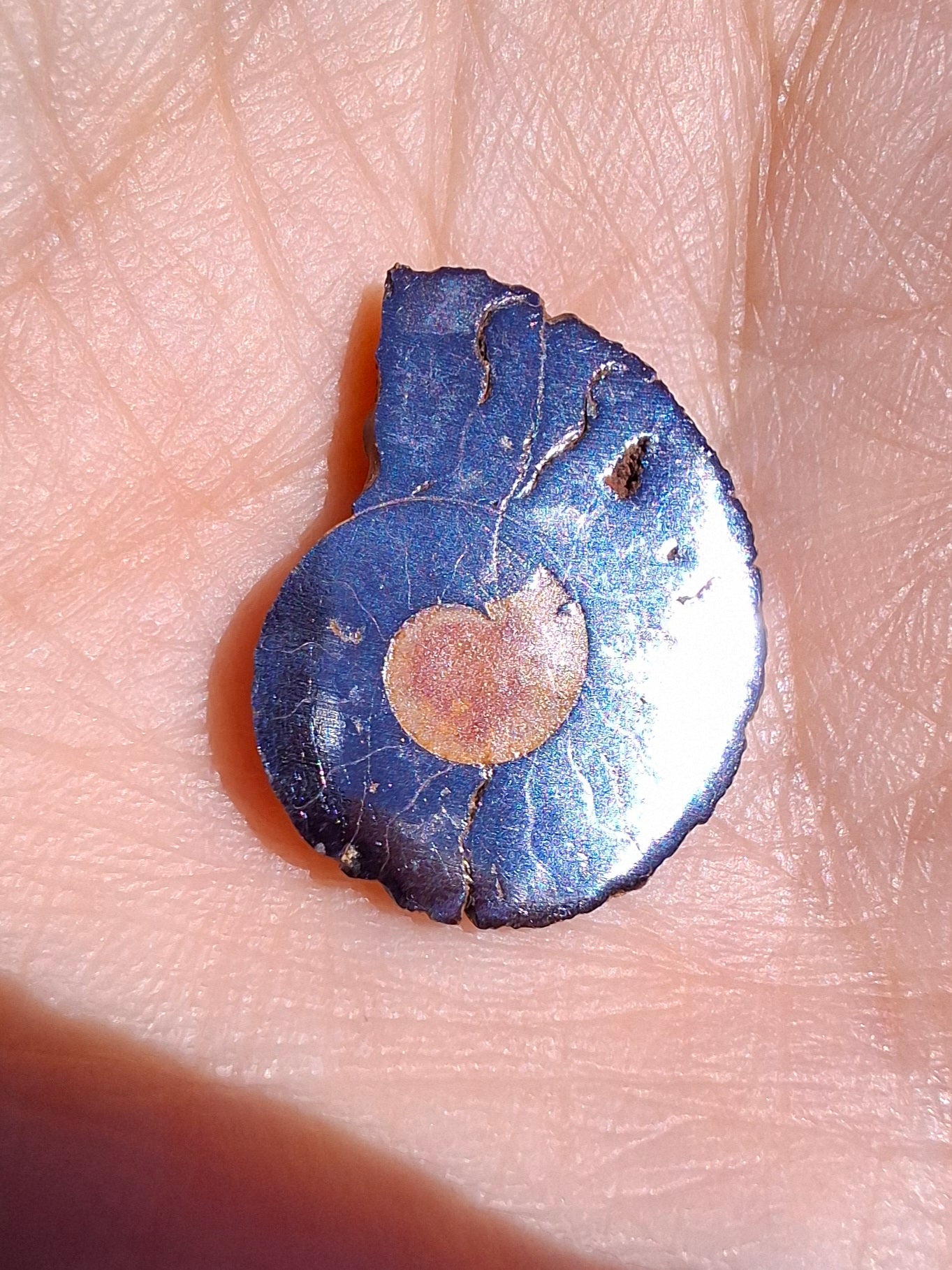Small Haematite Ammonite HALF, 1.19g, Fossil (Ref: MA11)
