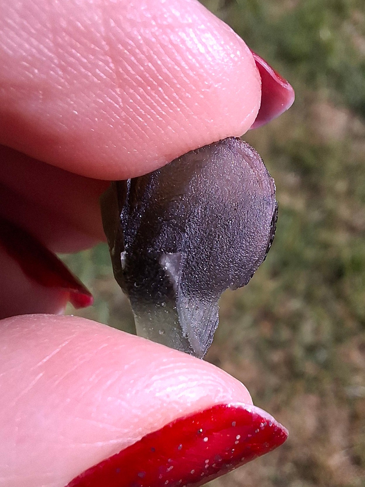 Moldavite Piece, 1.68g, Tektite (Ref: 1468)
