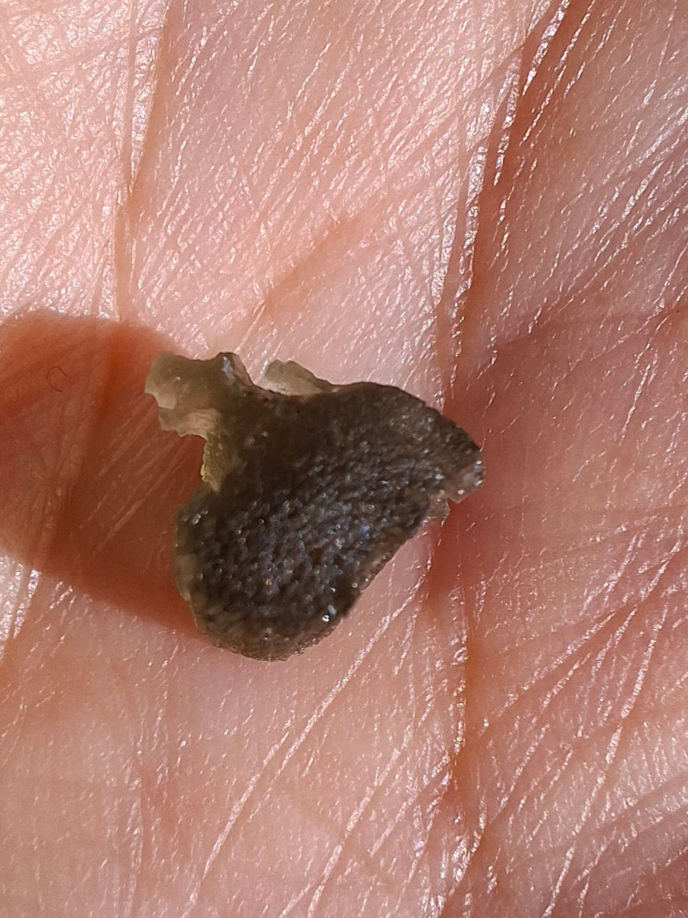 Moldavite Piece, 0.53g, Tektite (Ref: 1446)