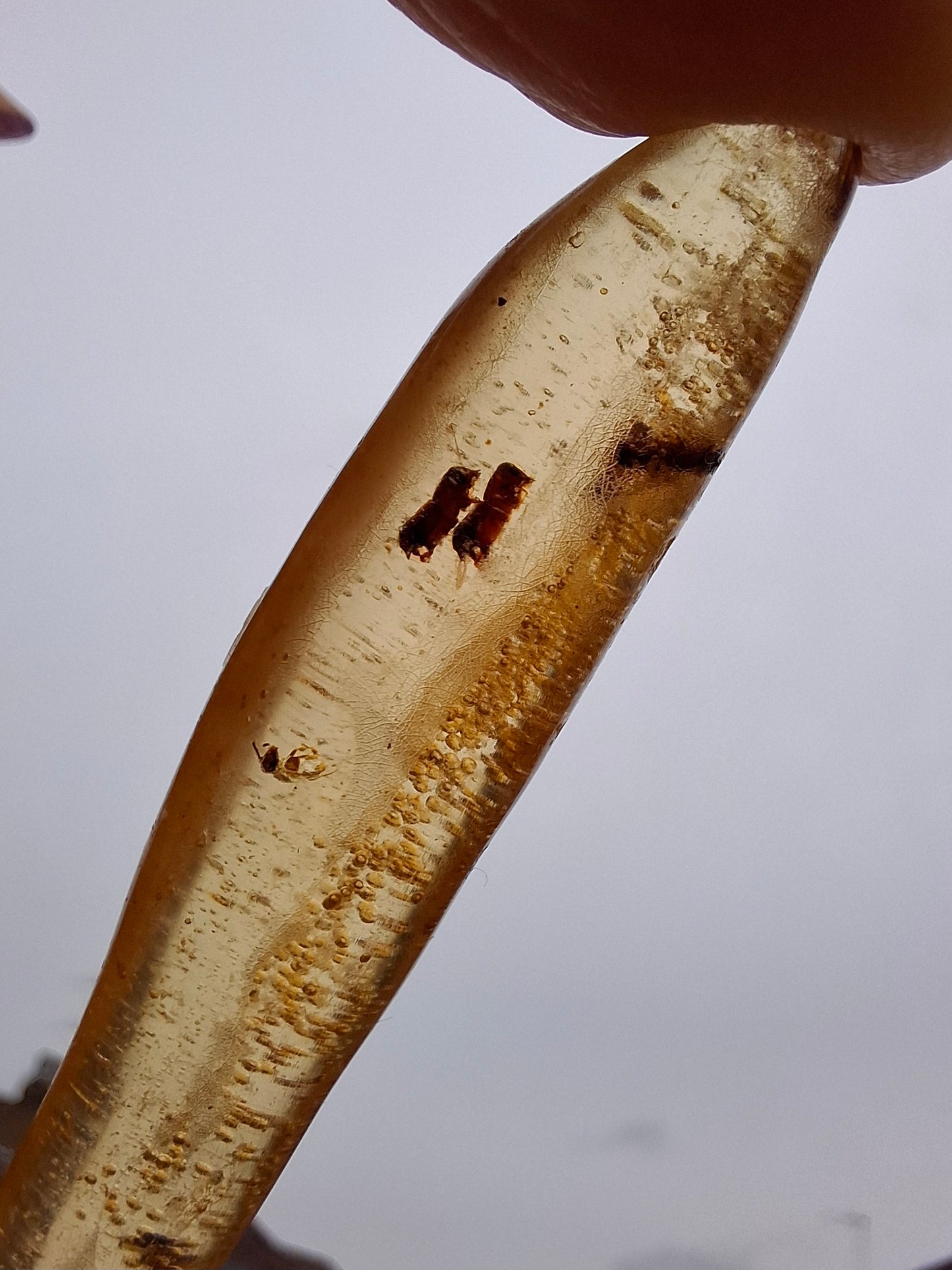 Copal Young Amber with INSECTS inside, 5.46g, Fossil (Ref: CA36)