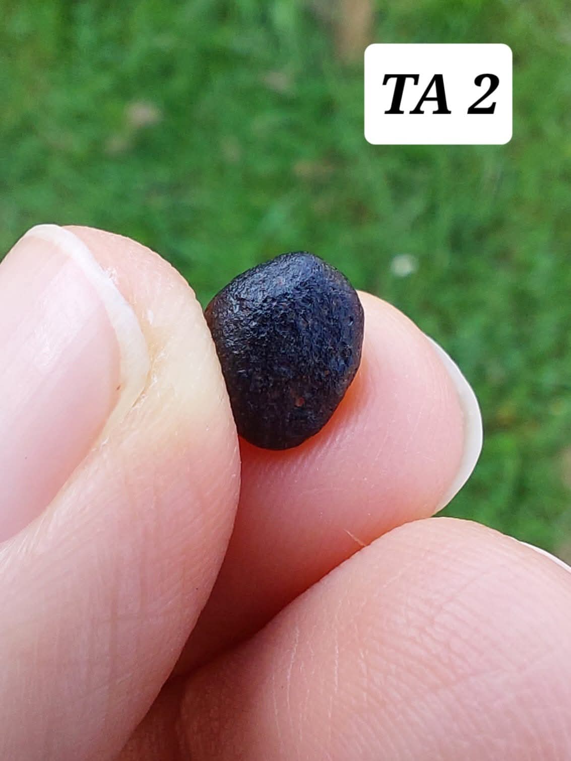 Atacamite, 0.43g, Tektite (Ref: TA2)