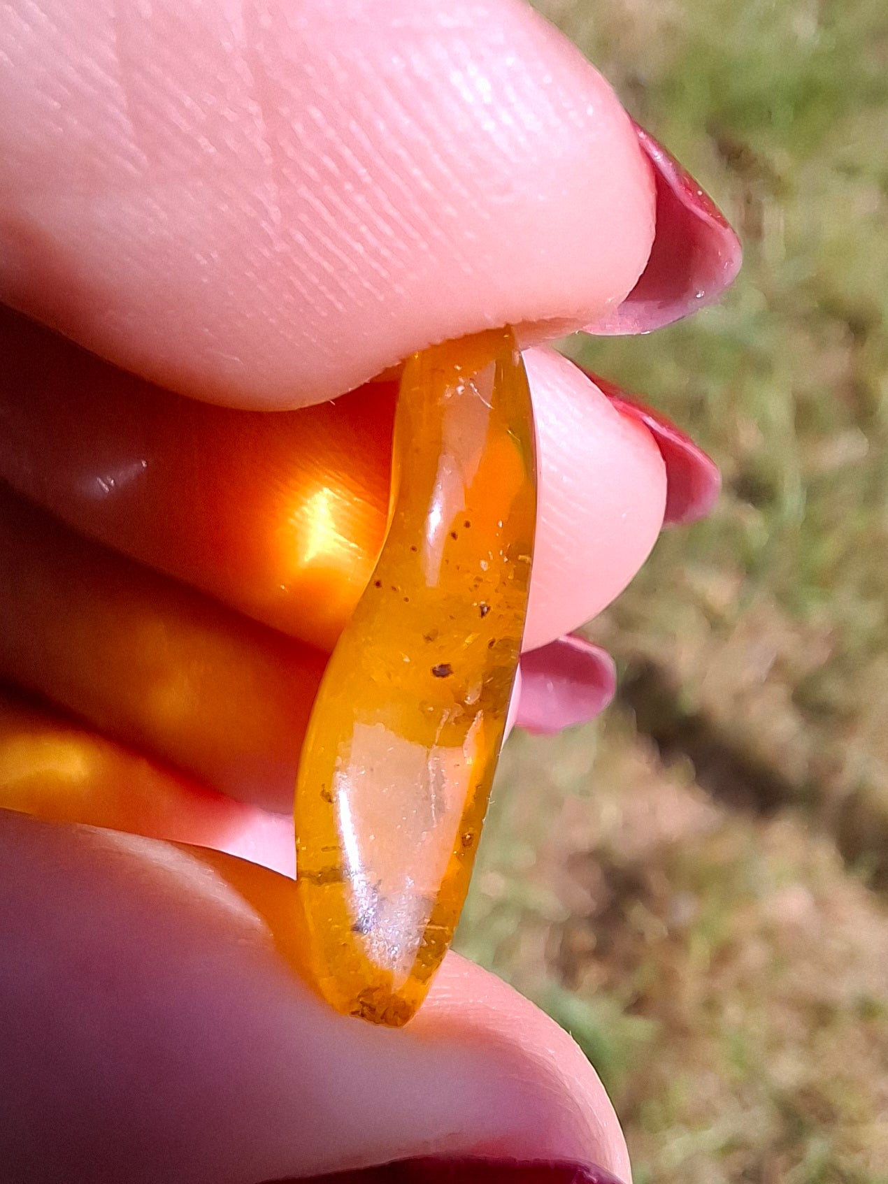 Baltic Amber, 0.91g, Fossil (Ref: A240)