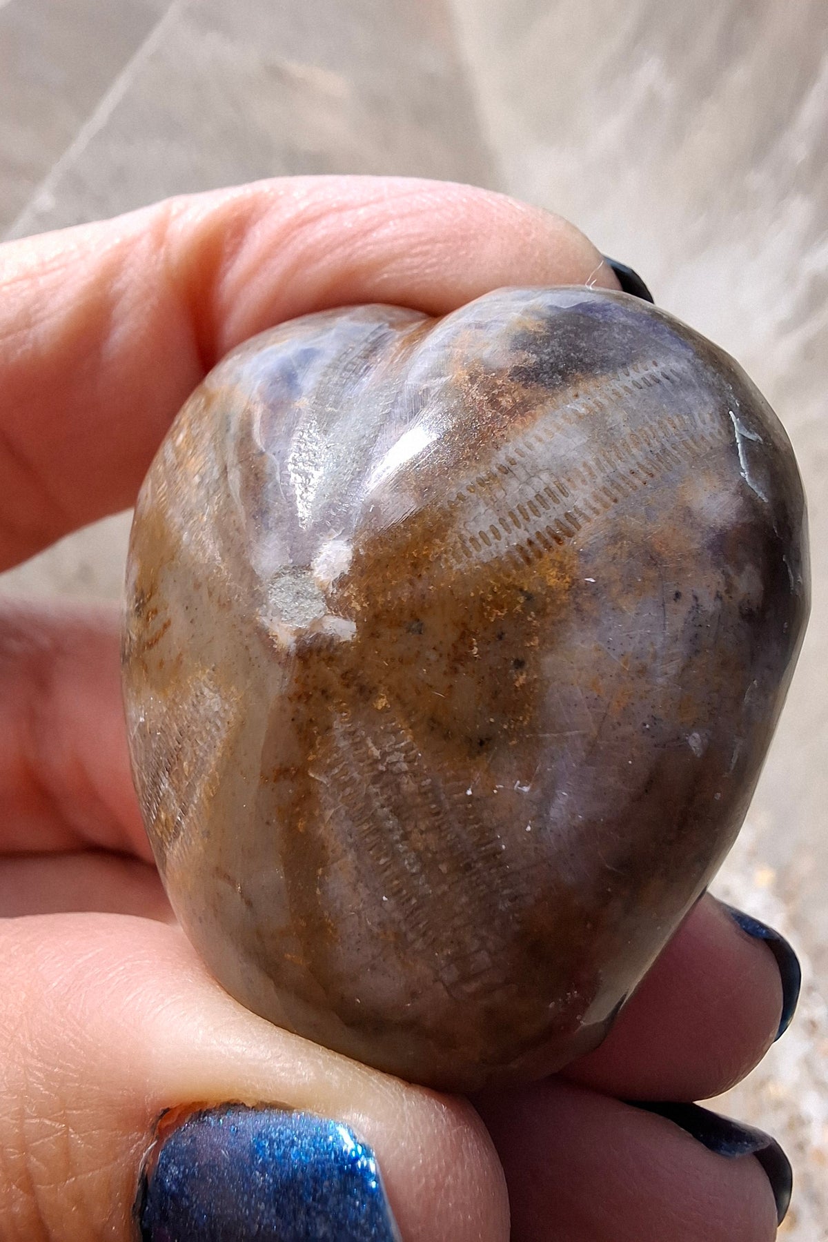 Polished Sea Urchin, Fossil (Ref: SU3)