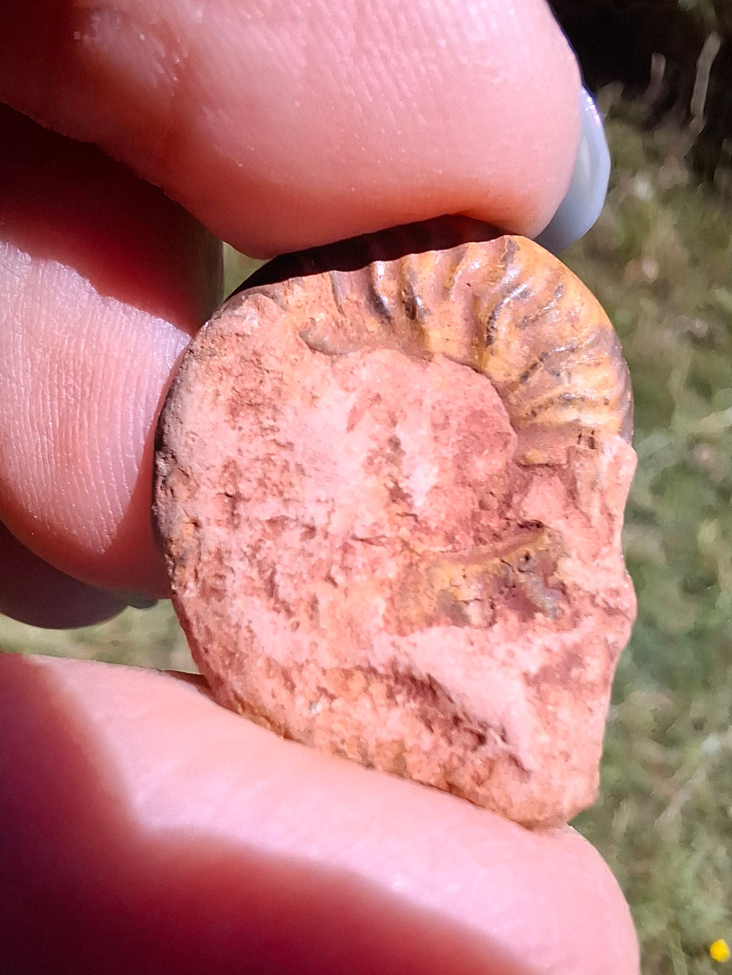 Small Haematite Ammonite HALF, 2.24g, Fossil (Ref: MA10)