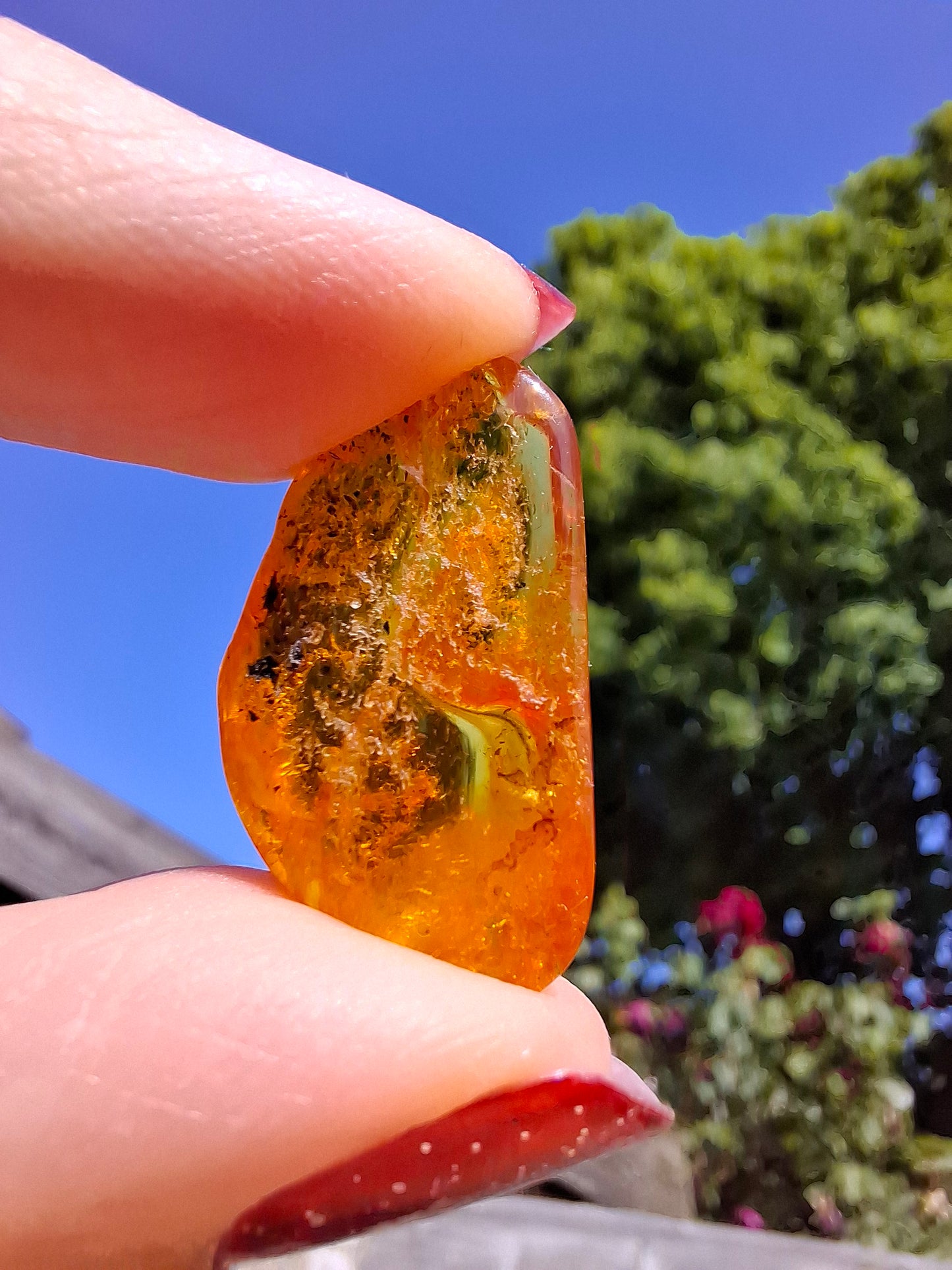 Baltic Amber, 1.39g, Fossil (Ref: A181)