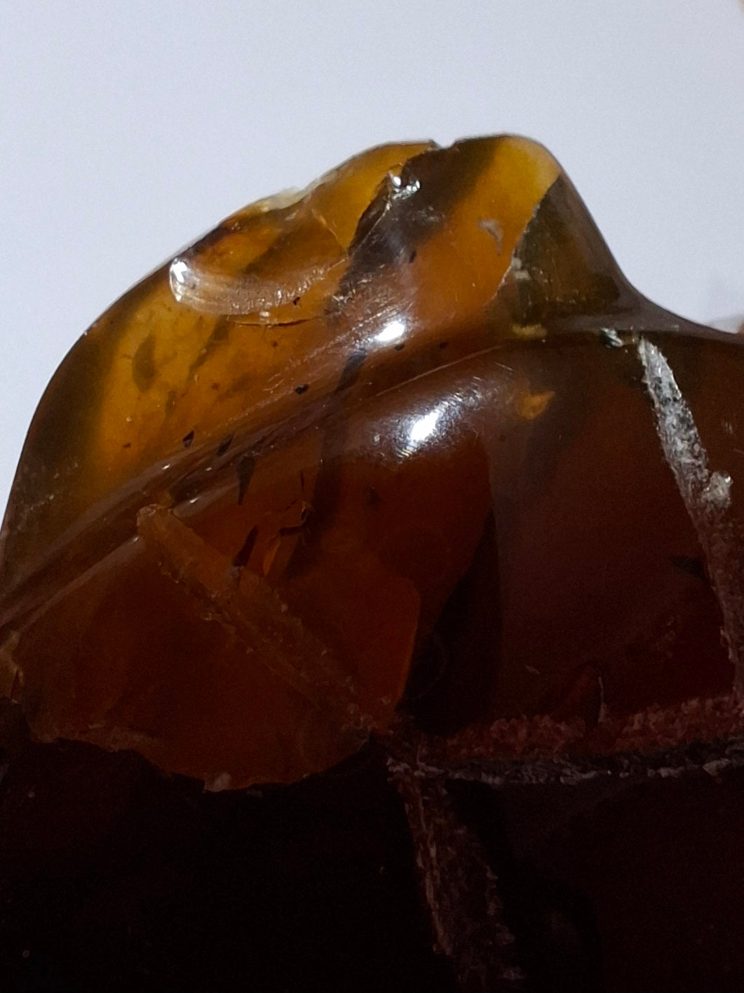 Red Amber Turtle, 49.15g, Carving, Fossil (Ref: TT1)