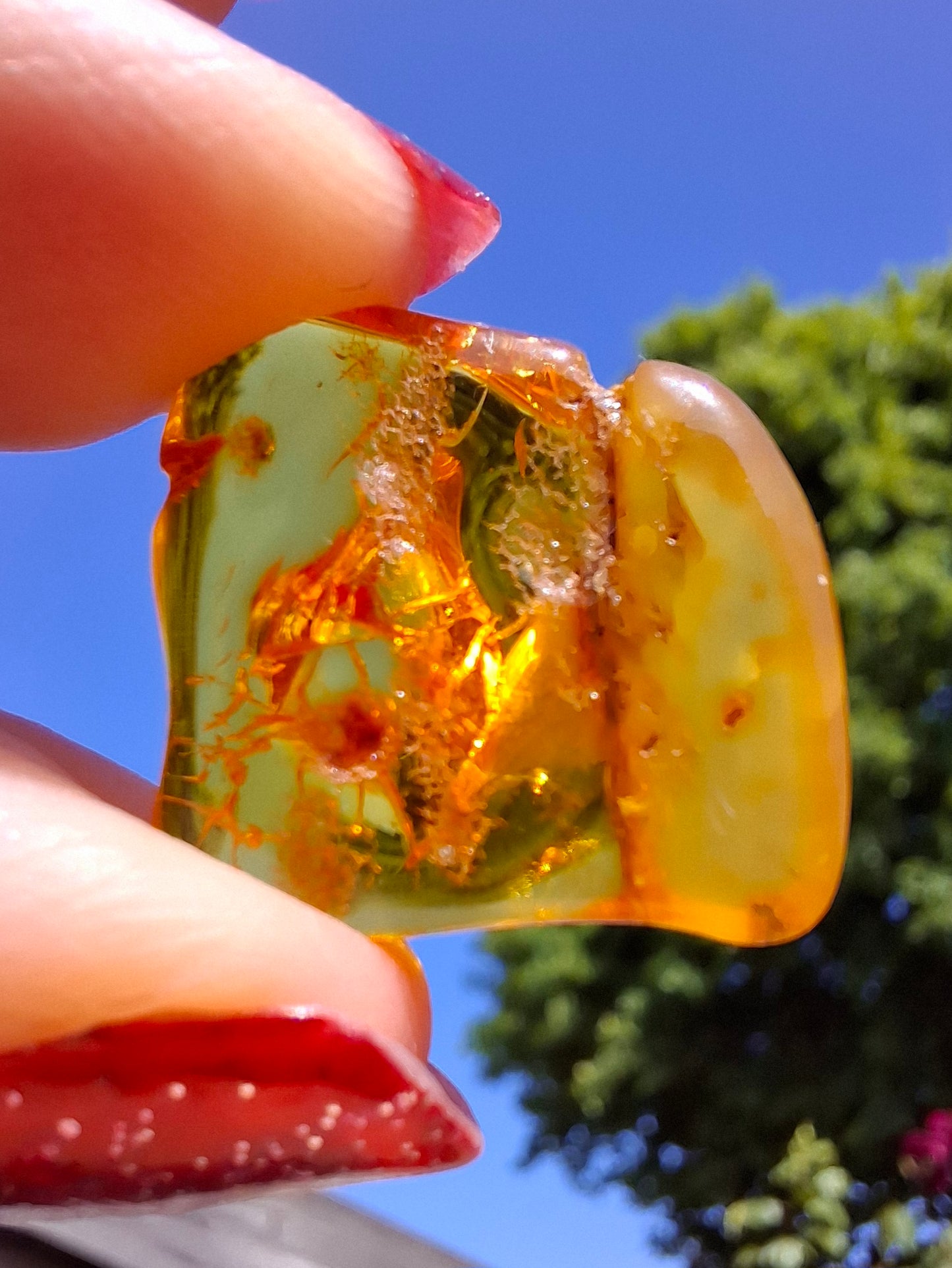 Baltic Amber, 1.51g, Fossil (Ref: A236)