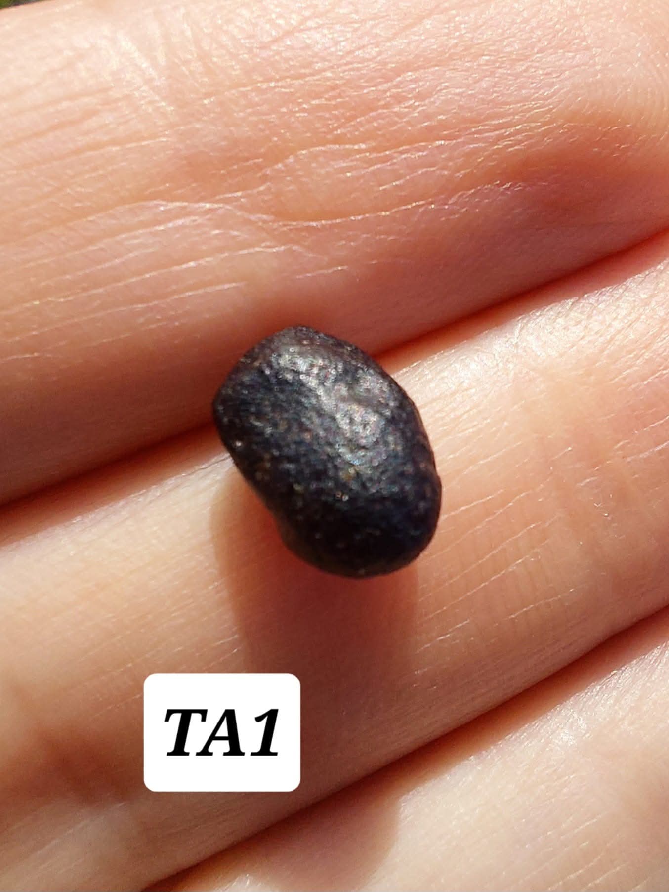 Atacamite, 0.43g, Tektite (Ref: TA1)