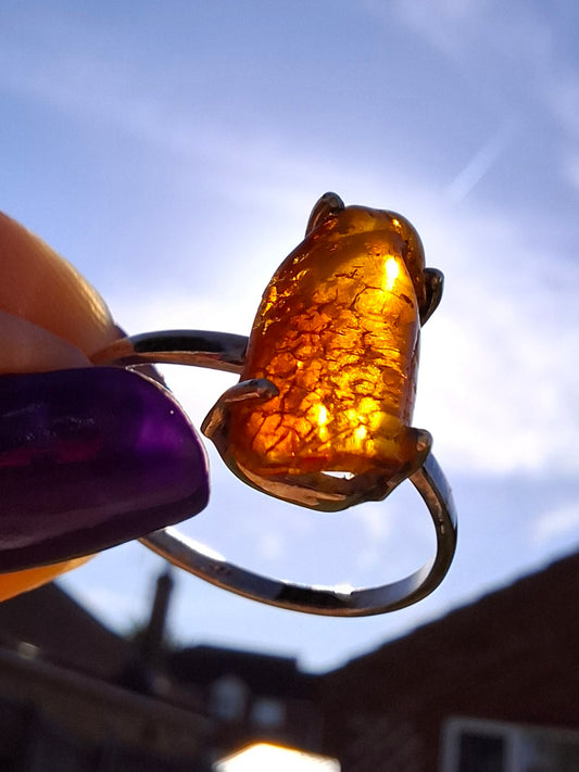 Baltic Amber Ring, size large Y, 925 Silver, Fossil (Ref: AR22)