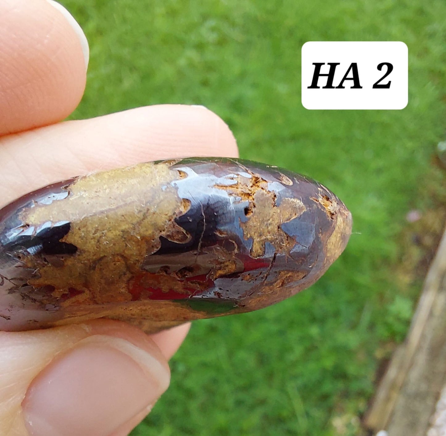 Hematite Ammonite, 22.72g, Fossil (Ref: HA2)