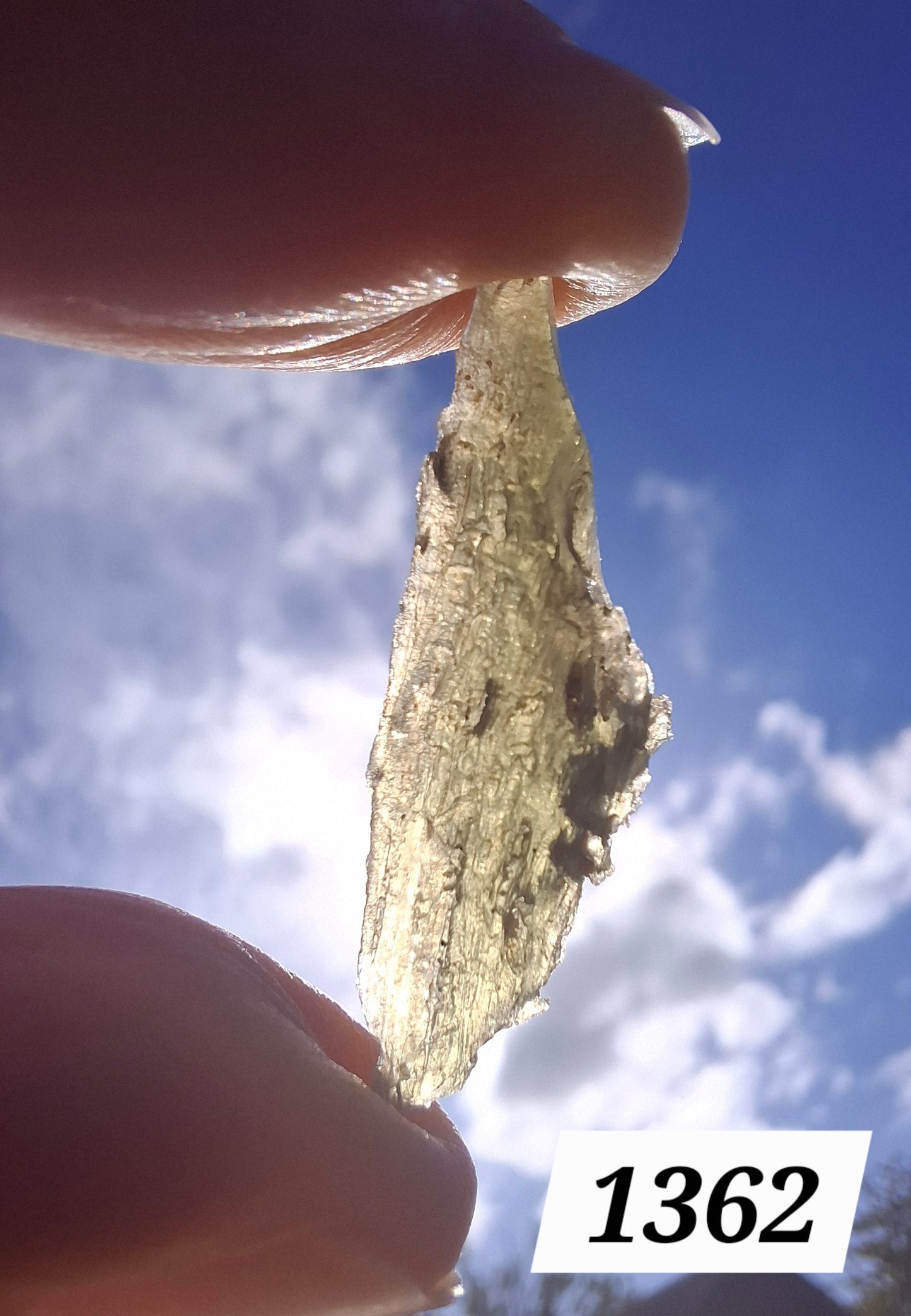 Moldavite Piece, 0.83g, Tektite (Ref: 1362)