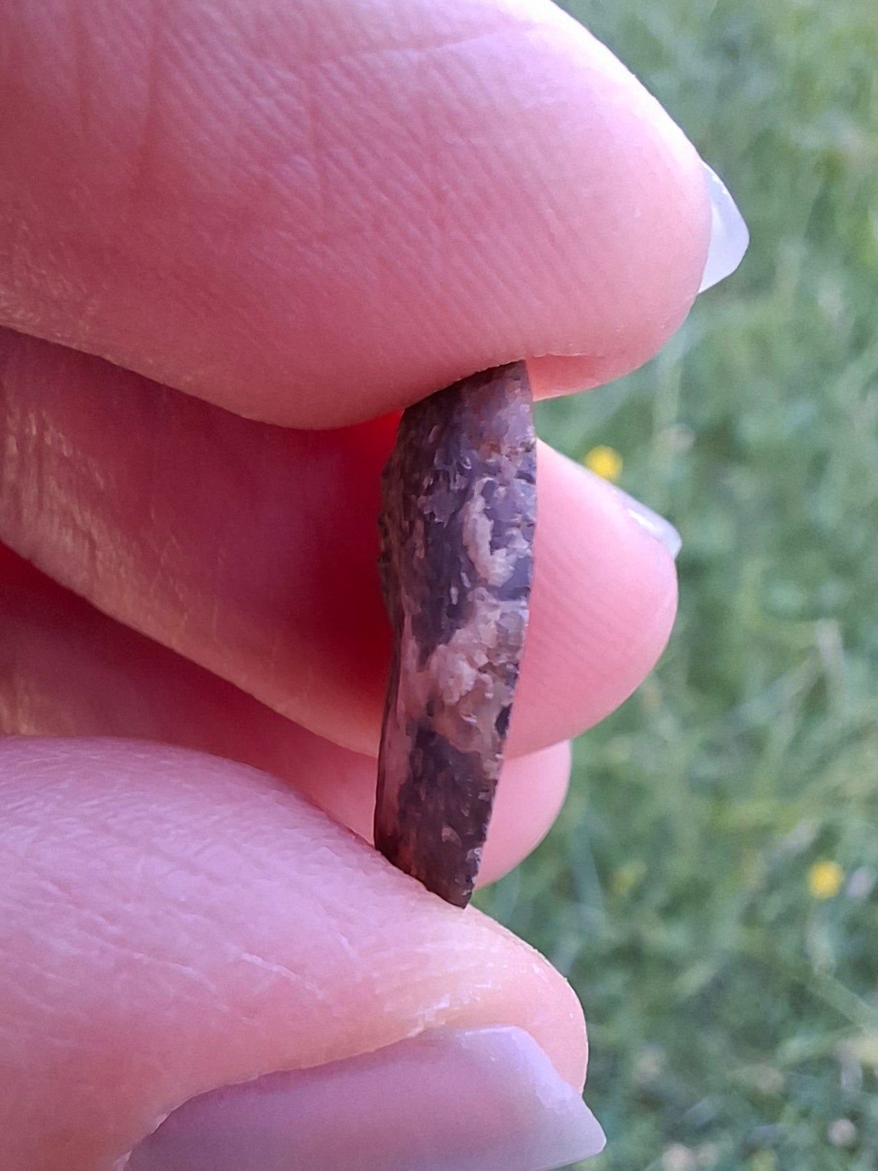 Small Haematite Ammonite HALF, 1.36g, Fossil (Ref: MA12)