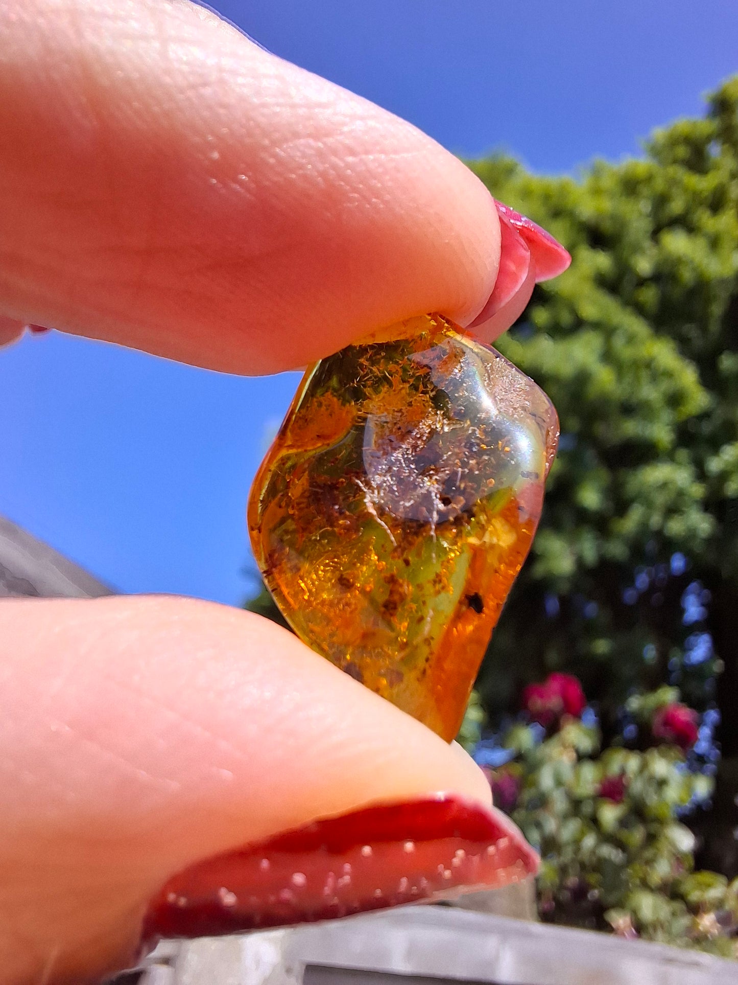 Baltic Amber, 1.13g, Fossil (Ref: A241)