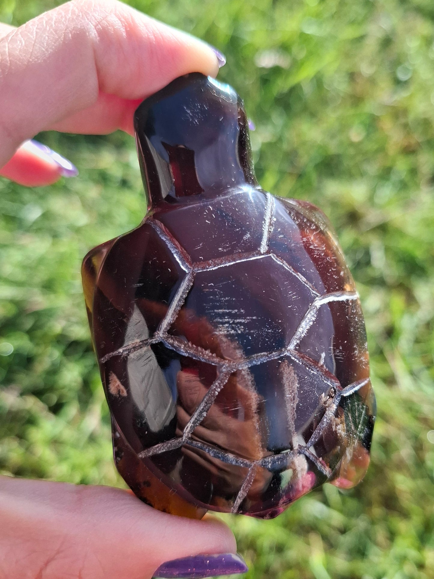 Red Amber Turtle, 52.00g, Carving, Fossil (Ref: TT3)