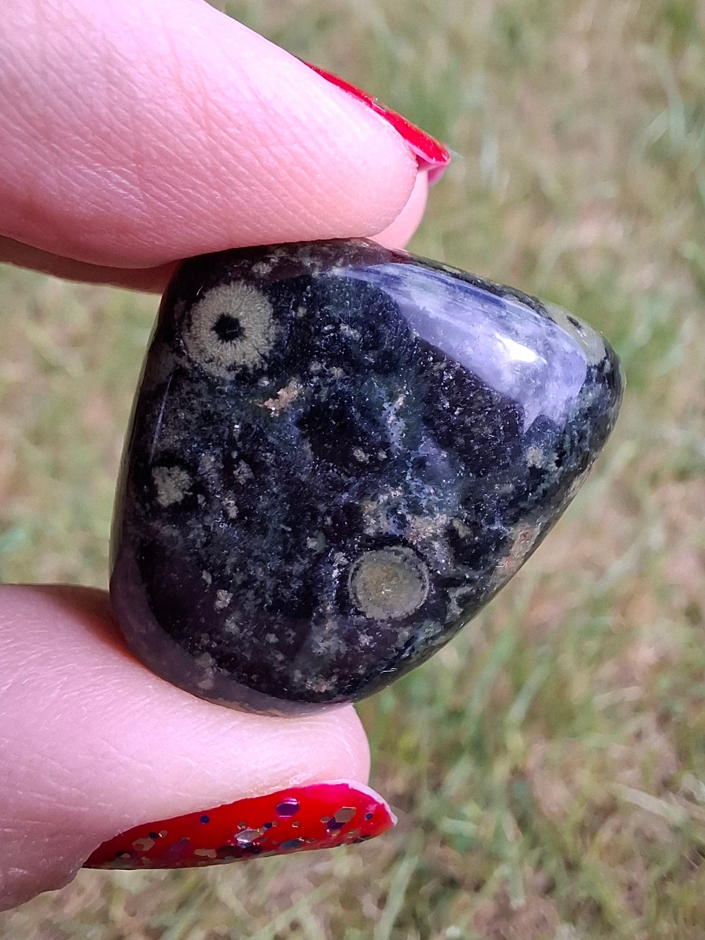 Kambaba Jasper, Tumble Stone, Crystal (Ref: T163)