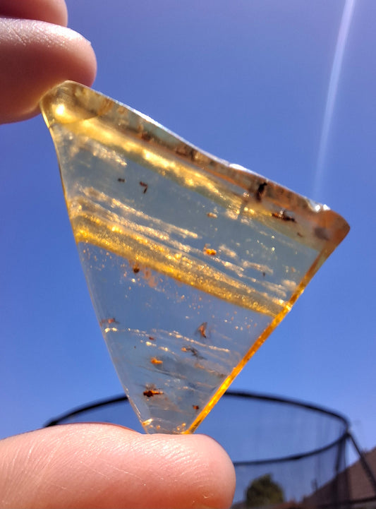 Copal Young Amber with INSECTS inside, 8.39g, Fossil (Ref: CA31)