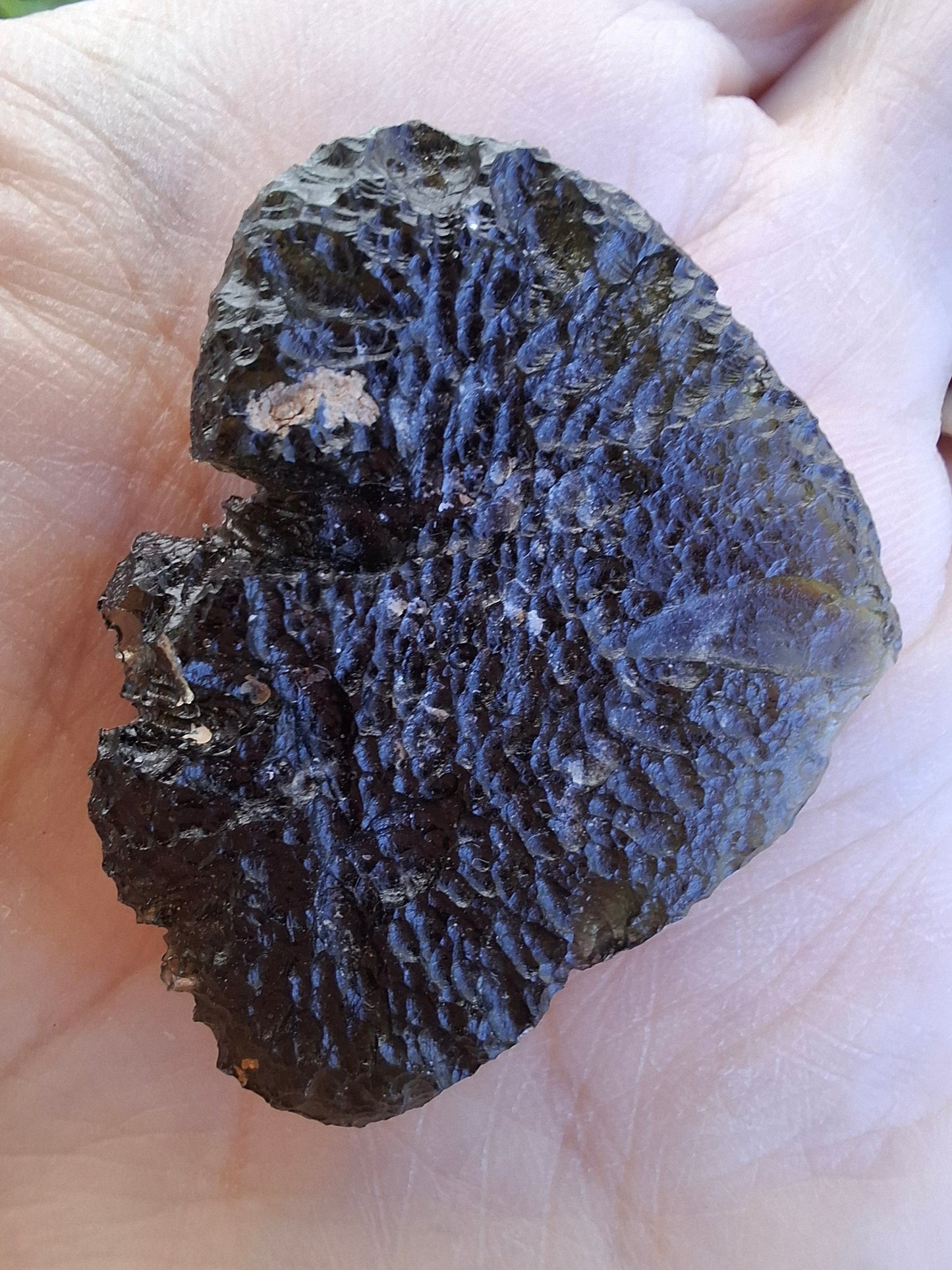Moldavite Piece, CHLUM, 11.18g, Tektite (Ref: 1166)