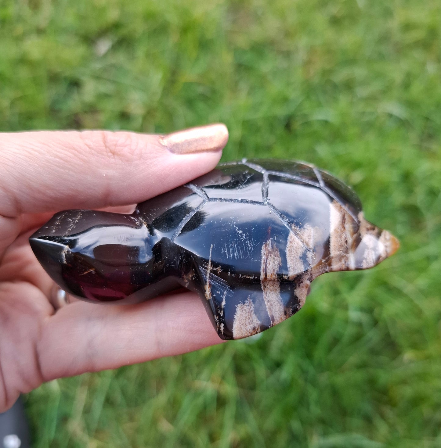 Red Amber Turtle, 59.07g, Carving, Fossil (Ref: TT5)