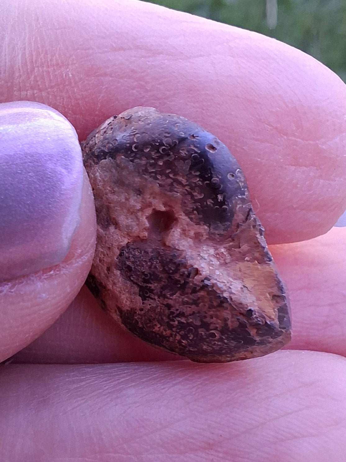 Small Haematite Ammonite HALF, 1.36g, Fossil (Ref: MA12)