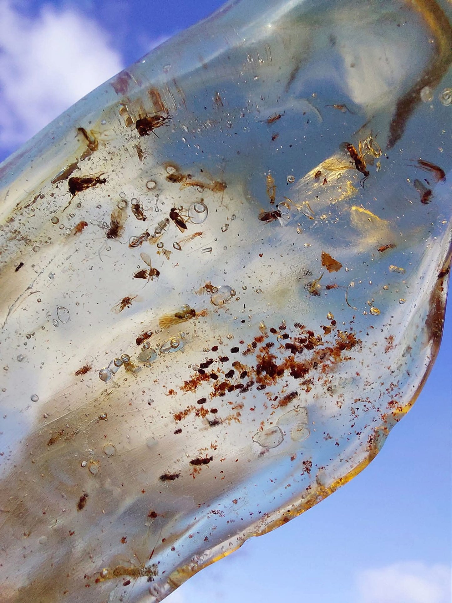 Copal Young Amber with INSECTS inside, 28.43g, Fossil (Ref: CA10)