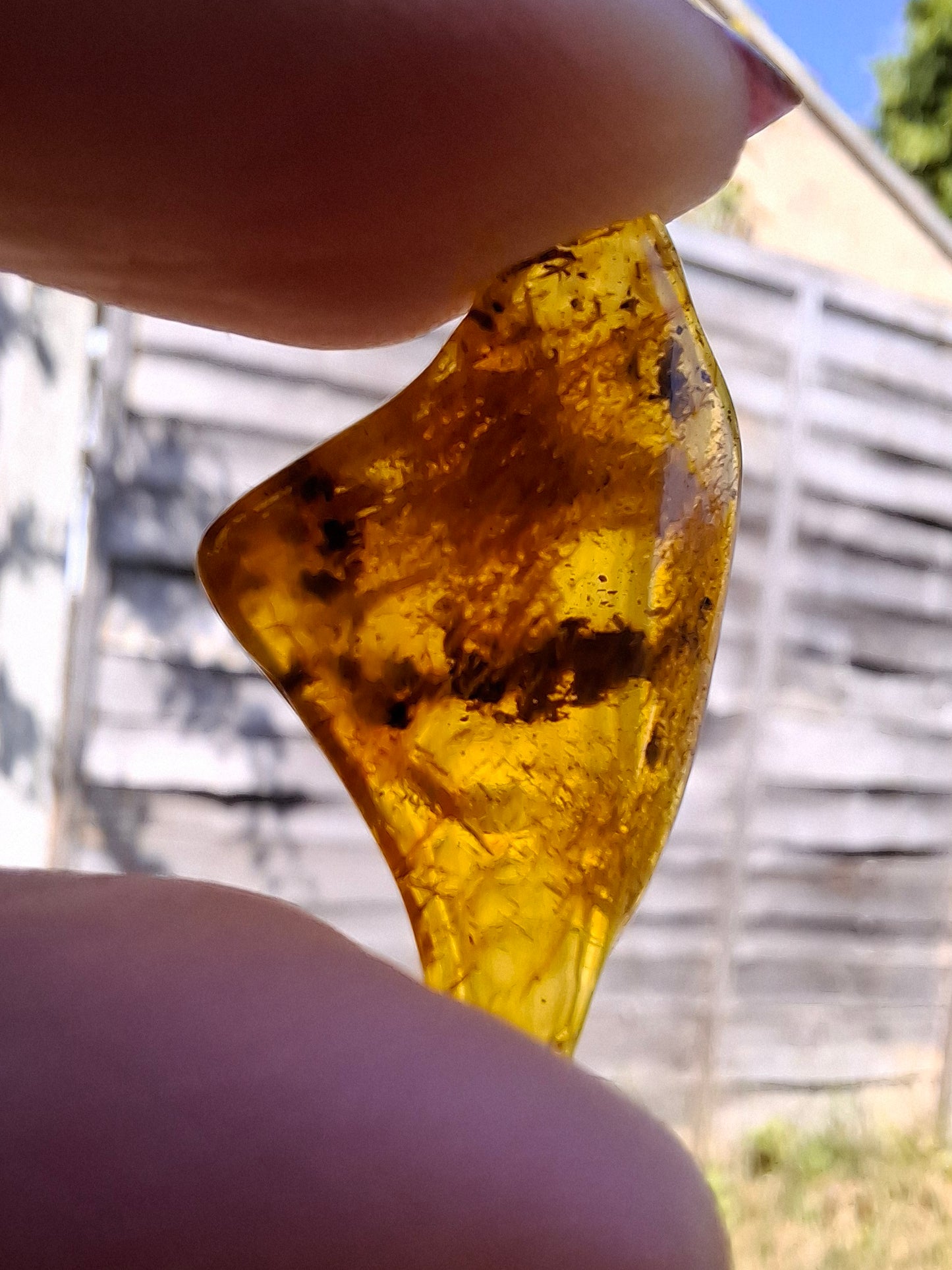 Baltic Amber, 1.25g, Fossil (Ref: A188)