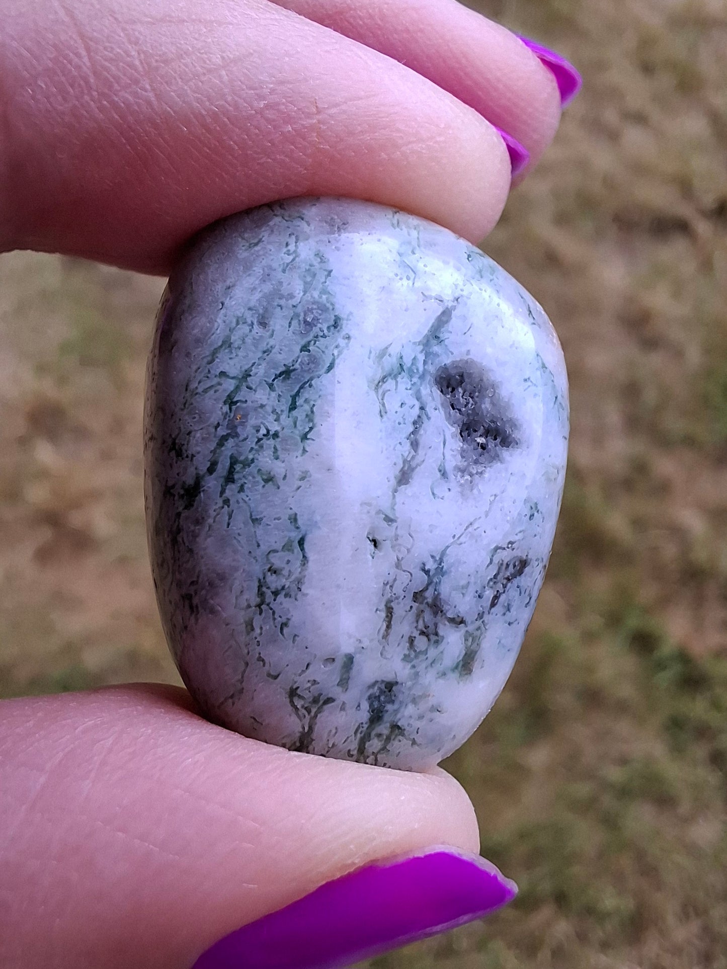 Tree Agate, Tumble Stone, Crystal (Ref: T7)