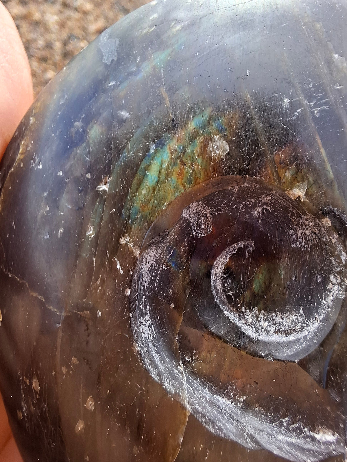 Labradorite Ammonite Carving, 160.21g, Crystal (Ref: laba4)