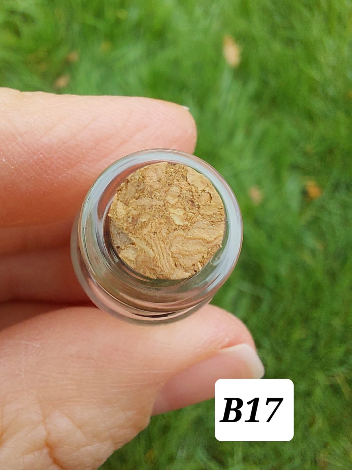 Moldavite chips (1.50g) in 3ml glass Bottle, Tektite (Ref: B17)