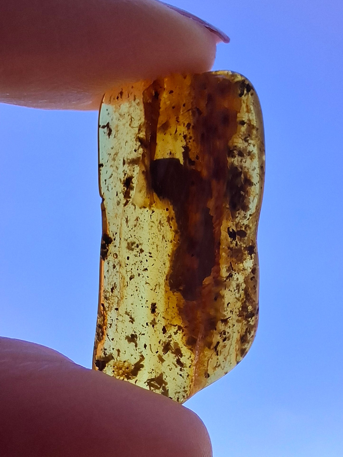 Baltic Amber, 1.84g, Fossil (Ref: A193)