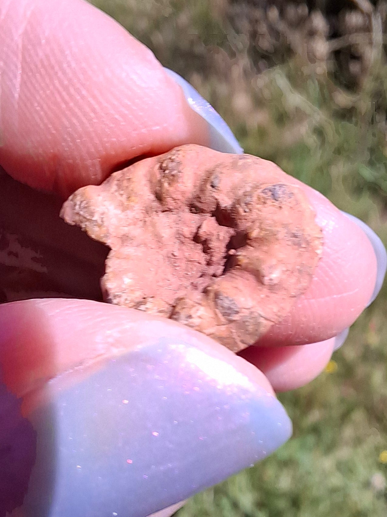 Small Haematite Ammonite HALF, 1.41g, Fossil (Ref: MA6)