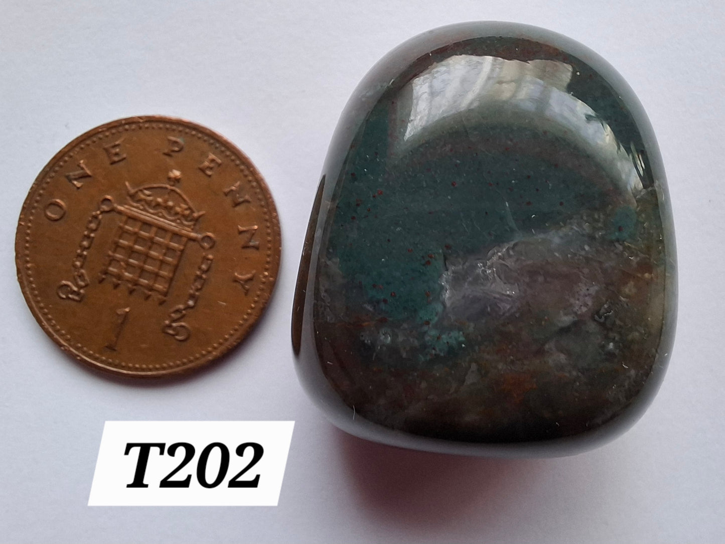 Ocean Jasper, Tumble Stone, Crystal (Ref: T202)