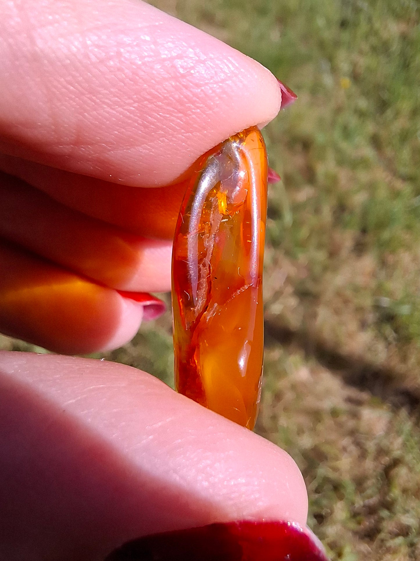 Baltic Amber, 1.48g, Fossil (Ref: A221)