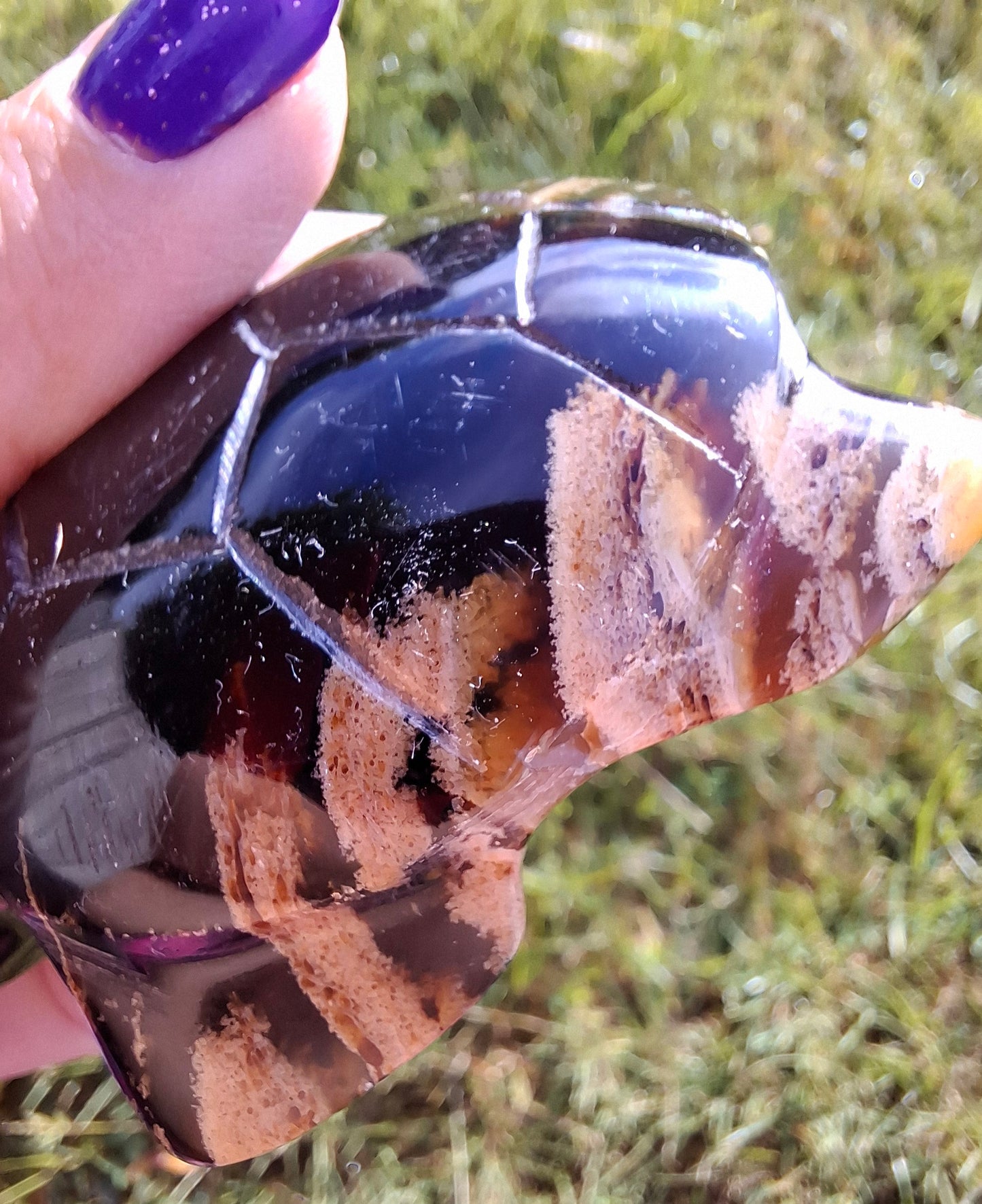 Red Amber Turtle, 59.07g, Carving, Fossil (Ref: TT5)