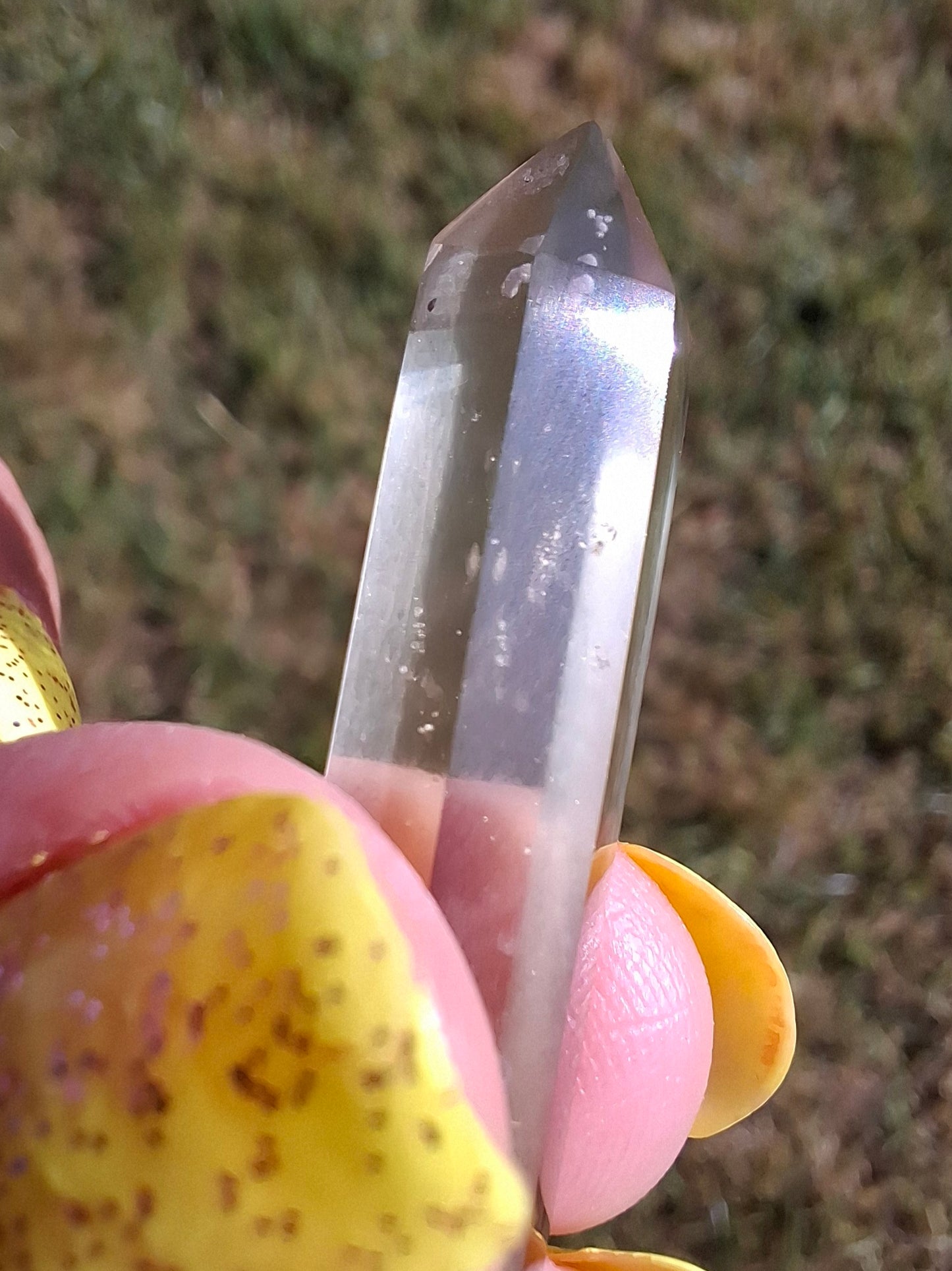 Libyan Desert Glass DT Carving, 4.68g, Tektite (Ref: LDT7)
