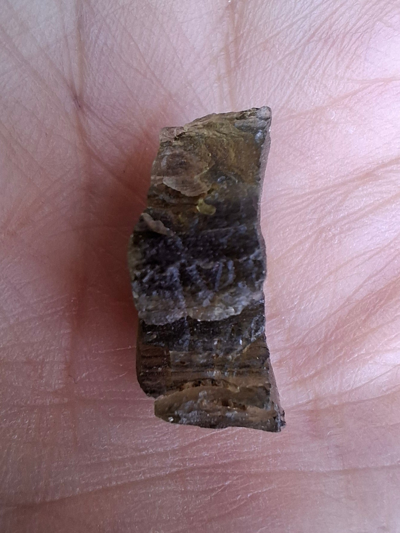 Moldavite Piece, 1.67g, Tektite (Ref: 1423)