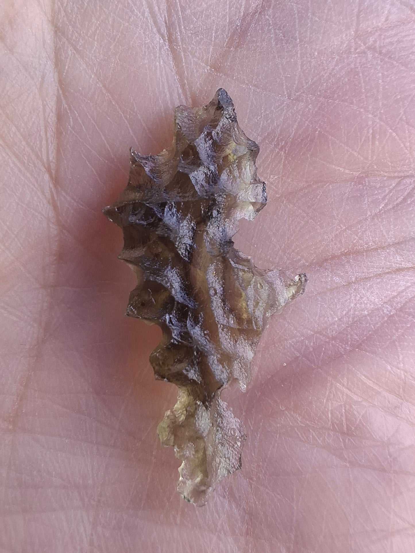 Moldavite Piece, JEZKOVNA BESEDNICE, 0.98g, Tektite (Ref: 1263)