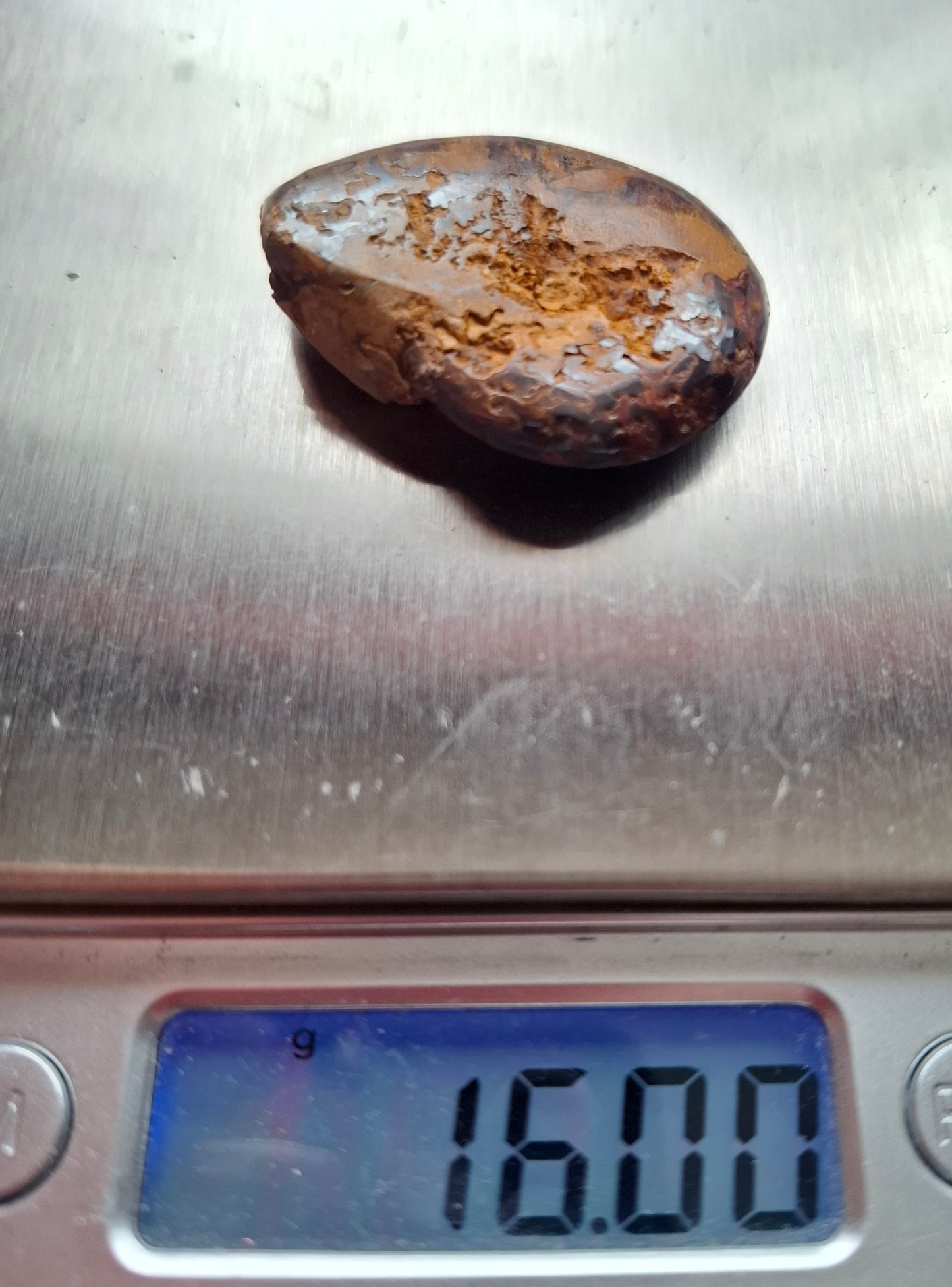 Hematite Ammonite, 16.00g, Fossil (Ref: HA3)