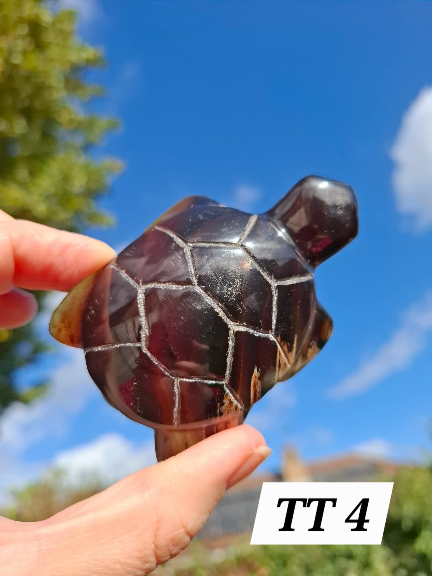 Red Amber Turtle, 47.85g, Carving, Fossil (Ref: TT4)