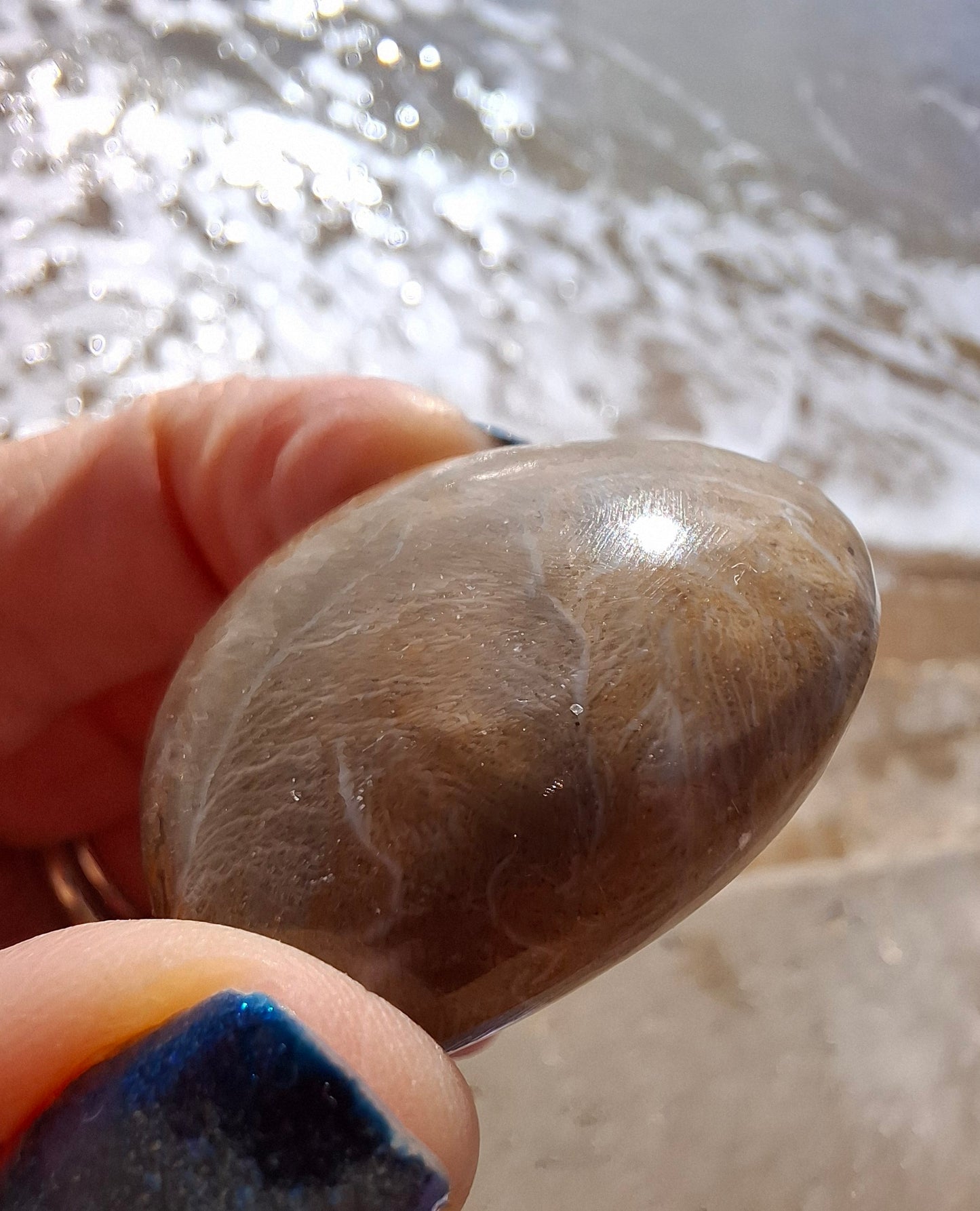 Fossil Coral Heart, (Ref:CoH1)