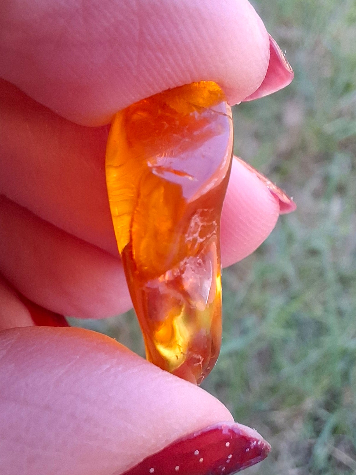 Baltic Amber, 1.31g, Fossil (Ref: A234)