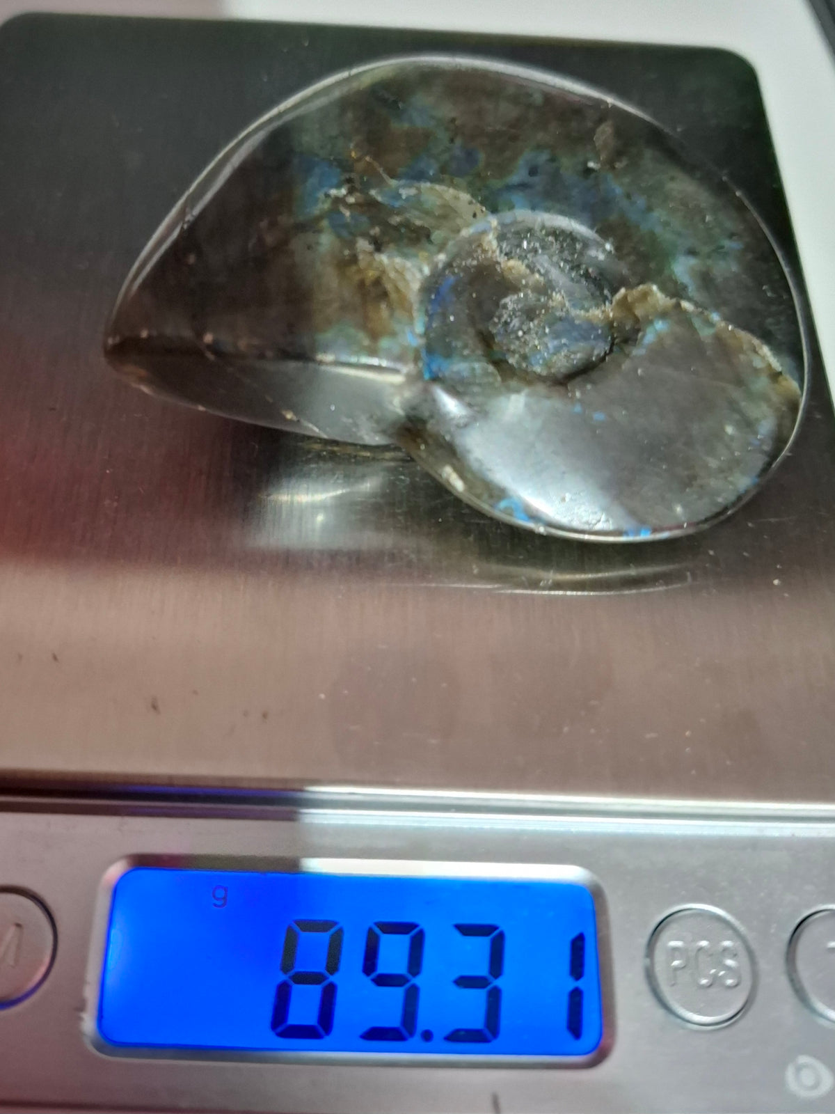 Labradorite Ammonite Carving, 89.31g, Crystal (Ref: laba6)