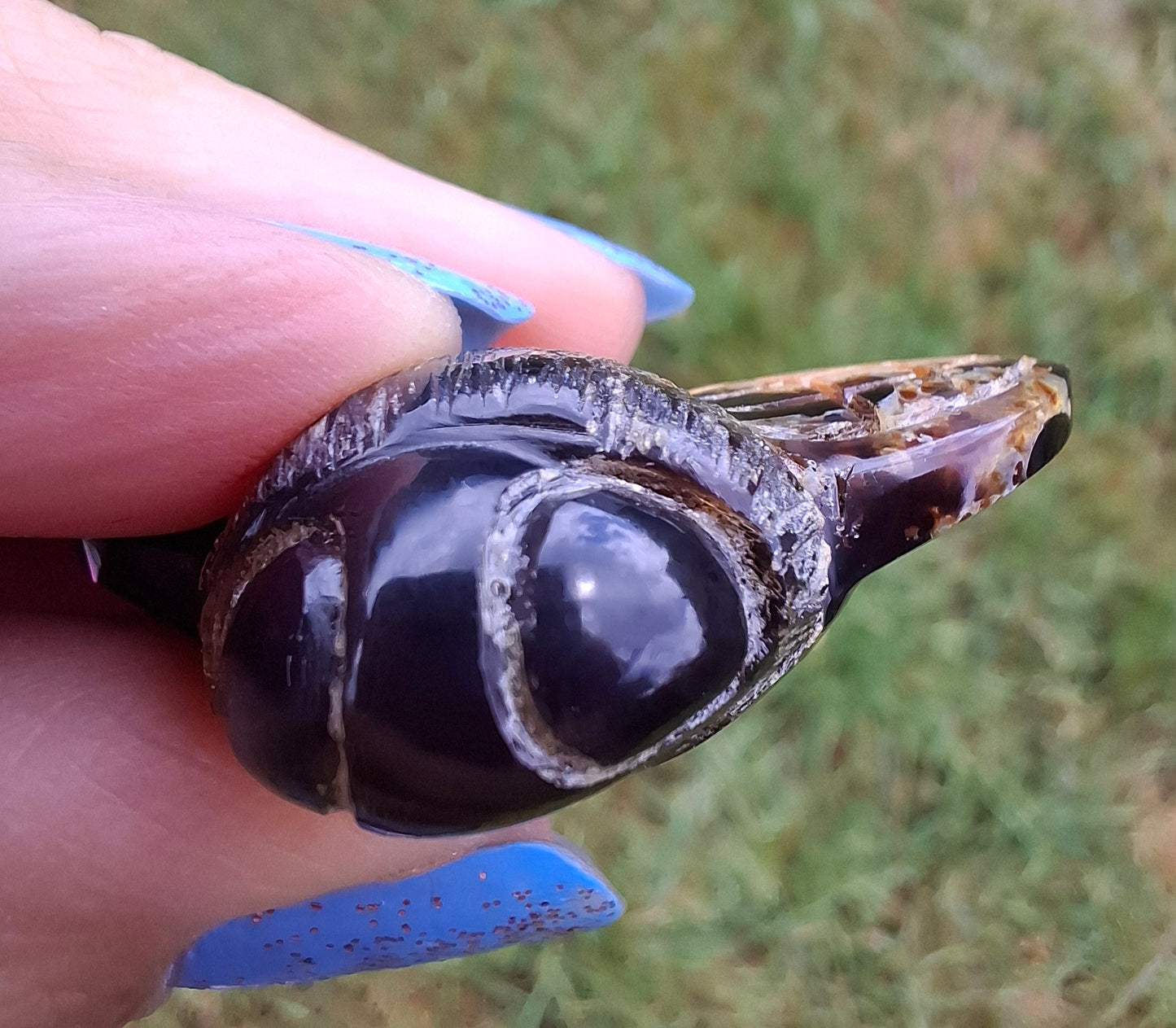 Red Amber Honey Bee Carving, 7.00g, Fossil (Ref: Bee31)