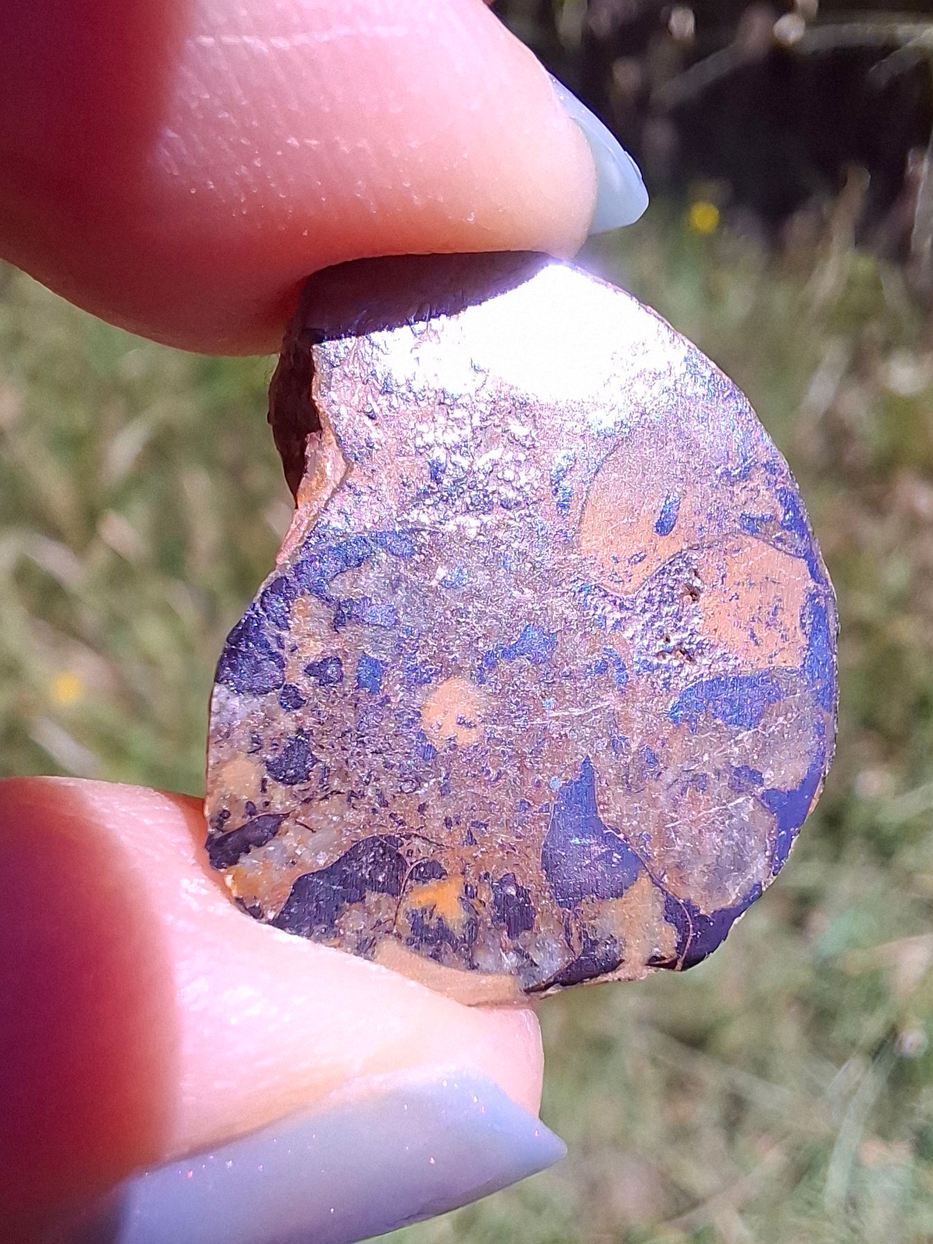 Small Haematite Ammonite HALF, 2.59g, Fossil (Ref: MA7)