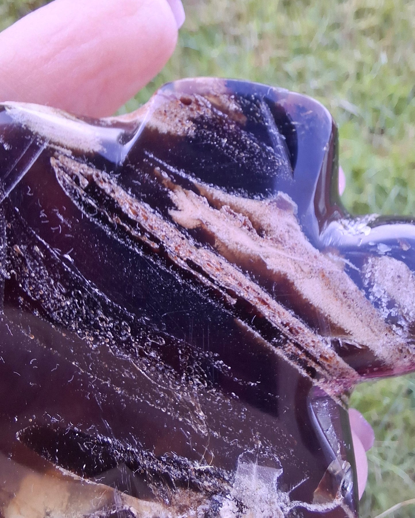 Red Amber Turtle, 50.00g, Carving, Fossil (Ref: TT6)