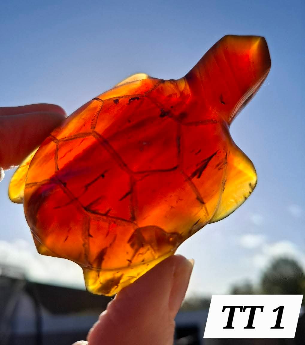 Red Amber Turtle, 49.15g, Carving, Fossil (Ref: TT1)