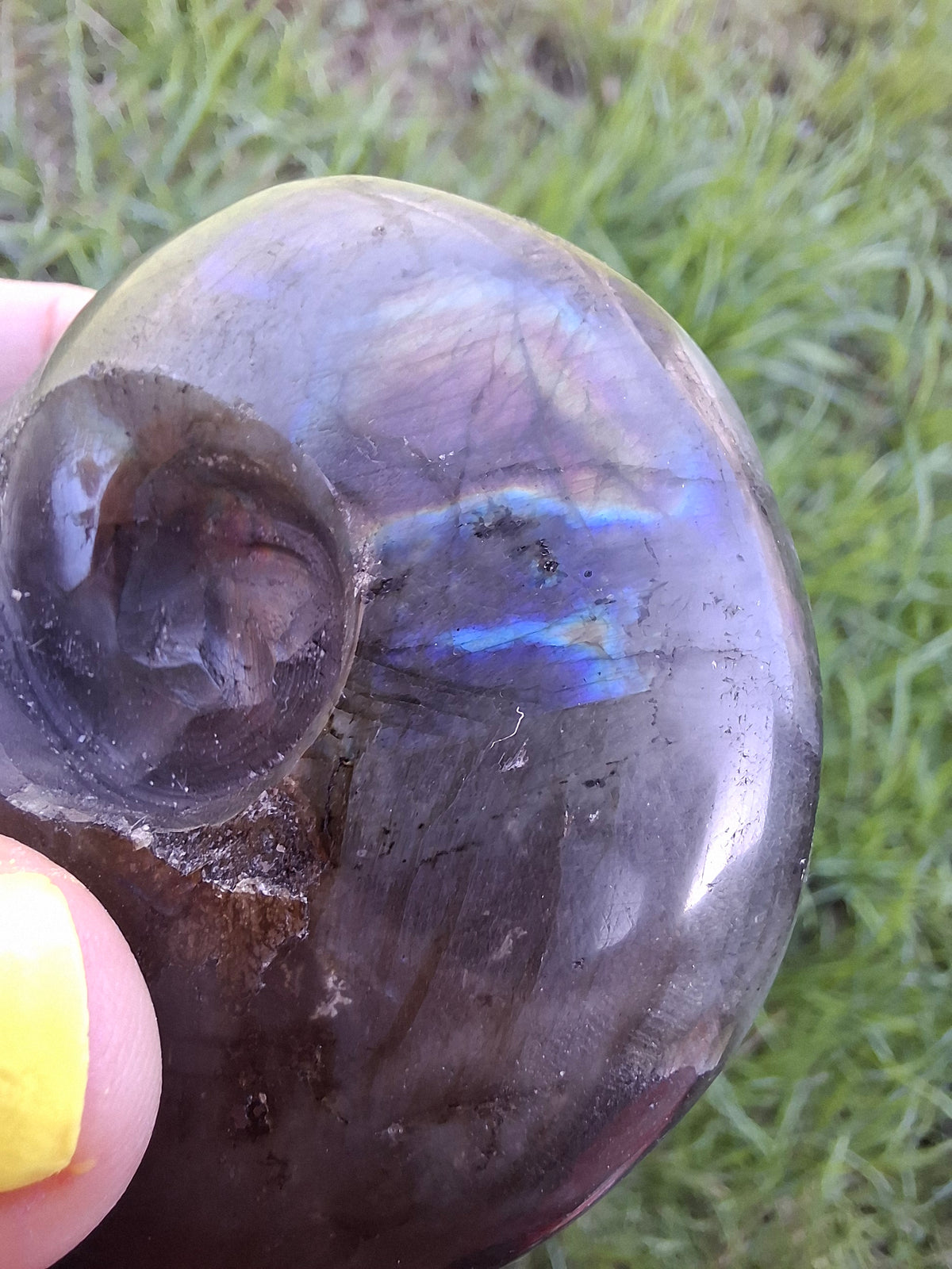 Labradorite Ammonite Carving, 146.90g, Crystal (Ref: laba5)