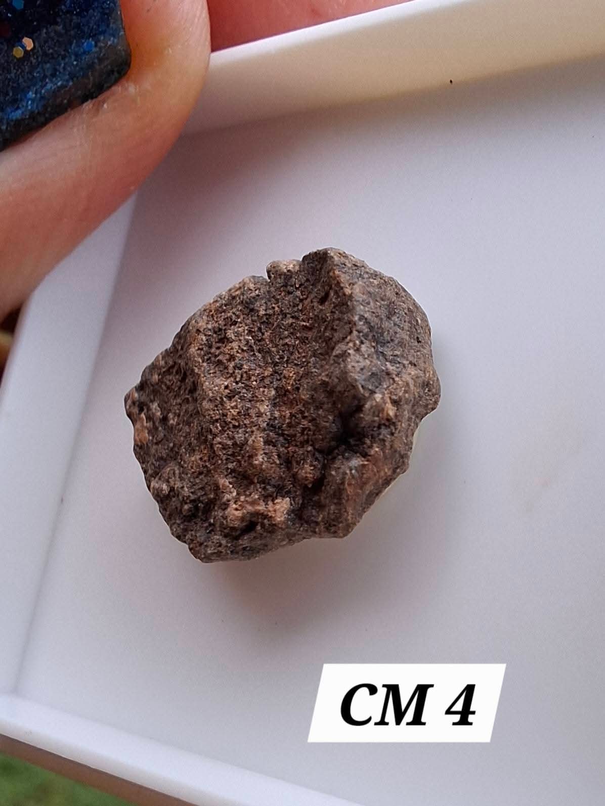 Chrondrite, Meteorite (Ref: CM4)