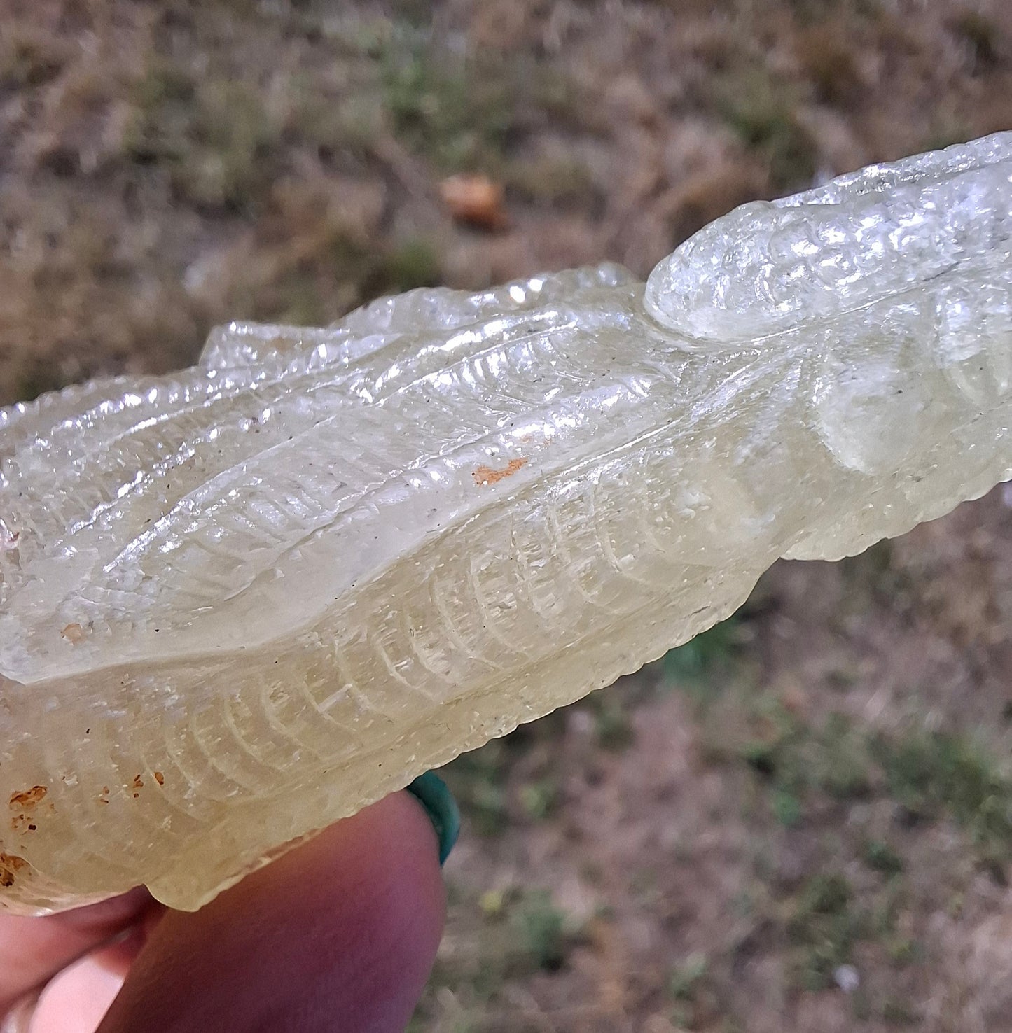 Libyan Desert Glass DRAGON HEAD carving, 48.11g, Tektite (Ref: Dragon4)